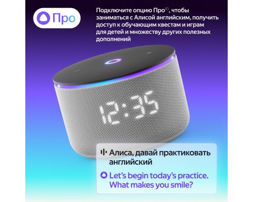 Колонка умная Яндекс Станция Мини 3 Про, Zigbee, модель YNDX-00059GRY (серый)