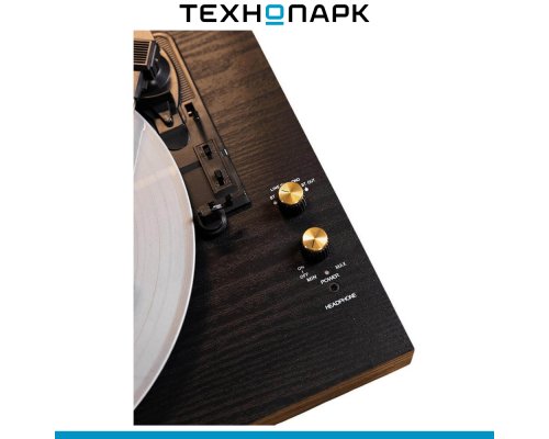 Vinyl Record Player Music Hall Concert BK