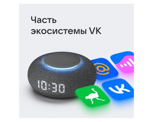 Smart speaker VK Capsule Mini with voice assistant Marusia dark grey