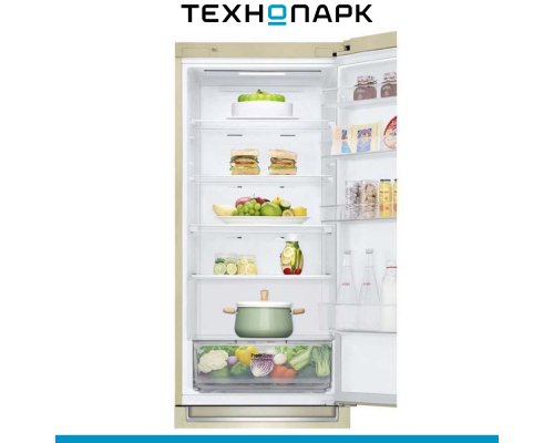 Fridge LG GA-B509SEKL