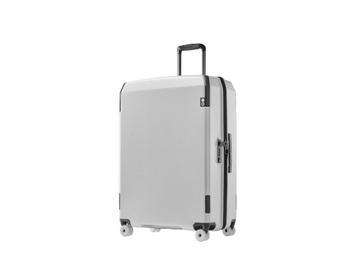 Suitcase Echolac Logic Pro, 30x75x34.5 cm, grey (LOPC320-401-10)