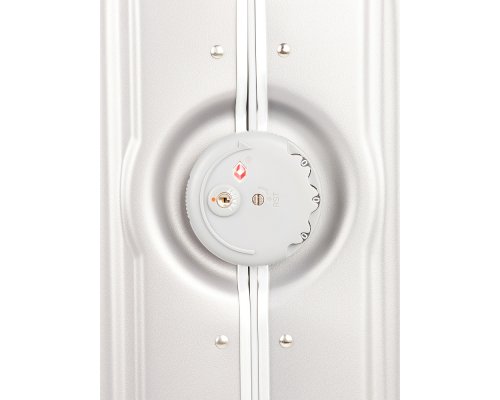 Чемодан Conwood 1 и 2, 41x55x22 см, серебристый (1218TE131919200)