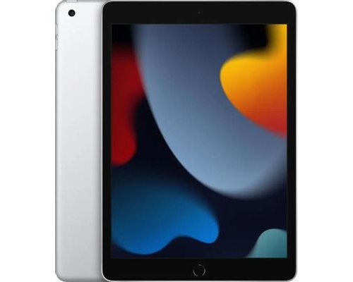 Планшет Apple iPad 2021 Wi-Fi A2602 3/64 GB A13 Bionic Wi-Fi, 2160 x 1620, iOS, серебристый (2170800)