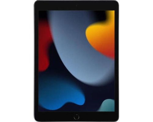 Планшет Apple iPad 2021 Wi-Fi A2602 3/64 GB A13 Bionic Wi-Fi, 2160 x 1620, iOS, серый космос (2166362)