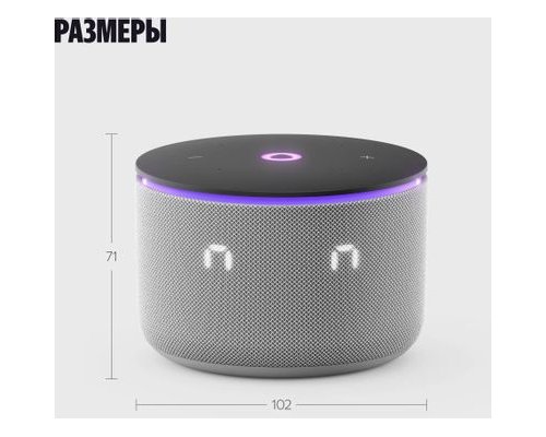 Колонка умная Яндекс Станция Мини 3 Про Zigbee, 18Вт, с Алисой на YaGPT, серый (2117509)