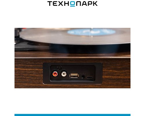 Vinyl Record Player Music Hall Concert NT