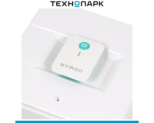 Window cleaner Qyron RW901