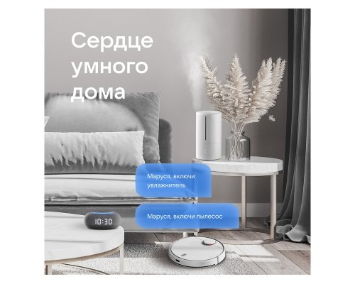 Smart speaker VK Capsule Mini with voice assistant Marusia dark grey