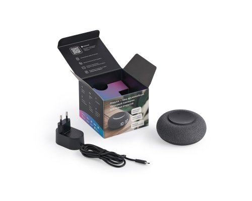 Smart speaker VK Capsule Mini with voice assistant Marusia dark grey