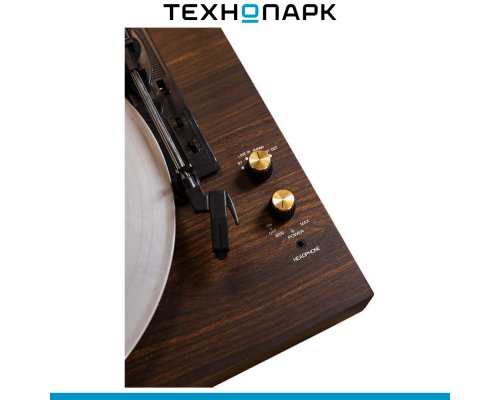 Vinyl Record Player Music Hall Concert NT