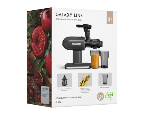 Соковыжималка шнековая Galaxy Line GL0813