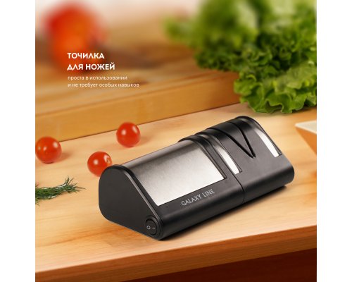Точилка электрическая для ножей Galaxy Line GL2442