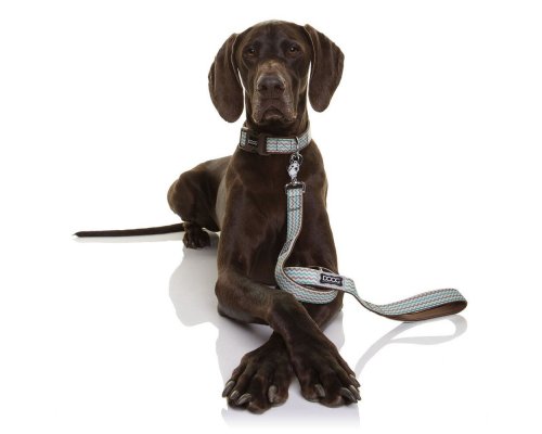 Collar for dogs Doog Benji brown - blue zigzag, L, 42-62 cm RA-325268