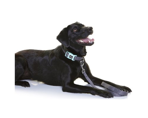 Leash for dogs Doog Pongo black with white specks, L, 130x2.5 cm RA-325247