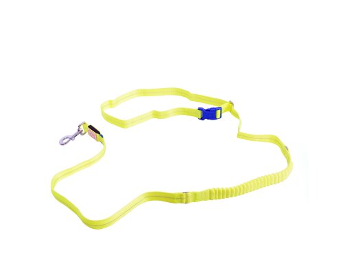 Dog leash with light and shock absorber Duvo+, 200cm/25mm, nylon, yellow