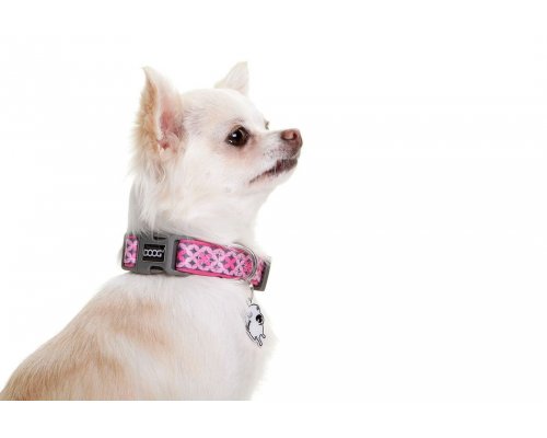 Dog Collar Doog Toto, Pink with Pattern, M, 32-46 cm