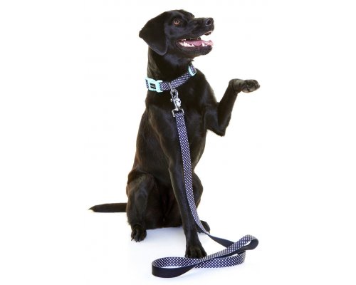 Collar for dogs Doog Pongo black with white specks, L, 42-62 cm RA-325244