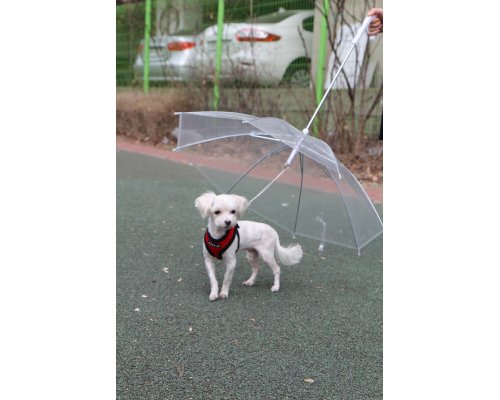 Зонт для собак Puppia прозрачный, 72 см RA-325215